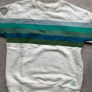 Teal stripe sweatshirt